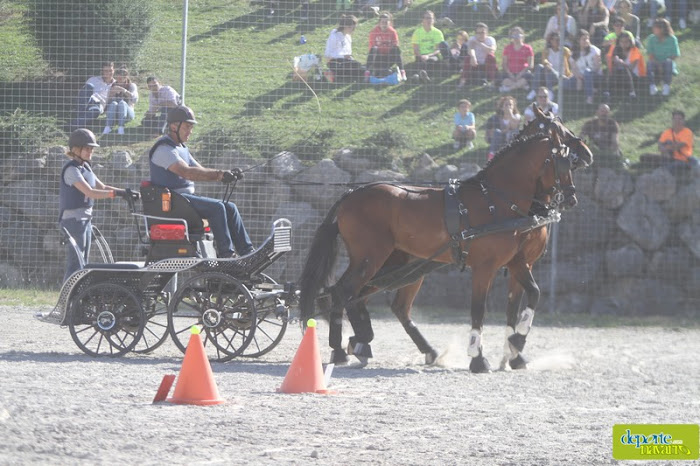 Exhibición de Enganches en el XXII Día del Deporte
